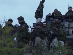 Kaitsevägi