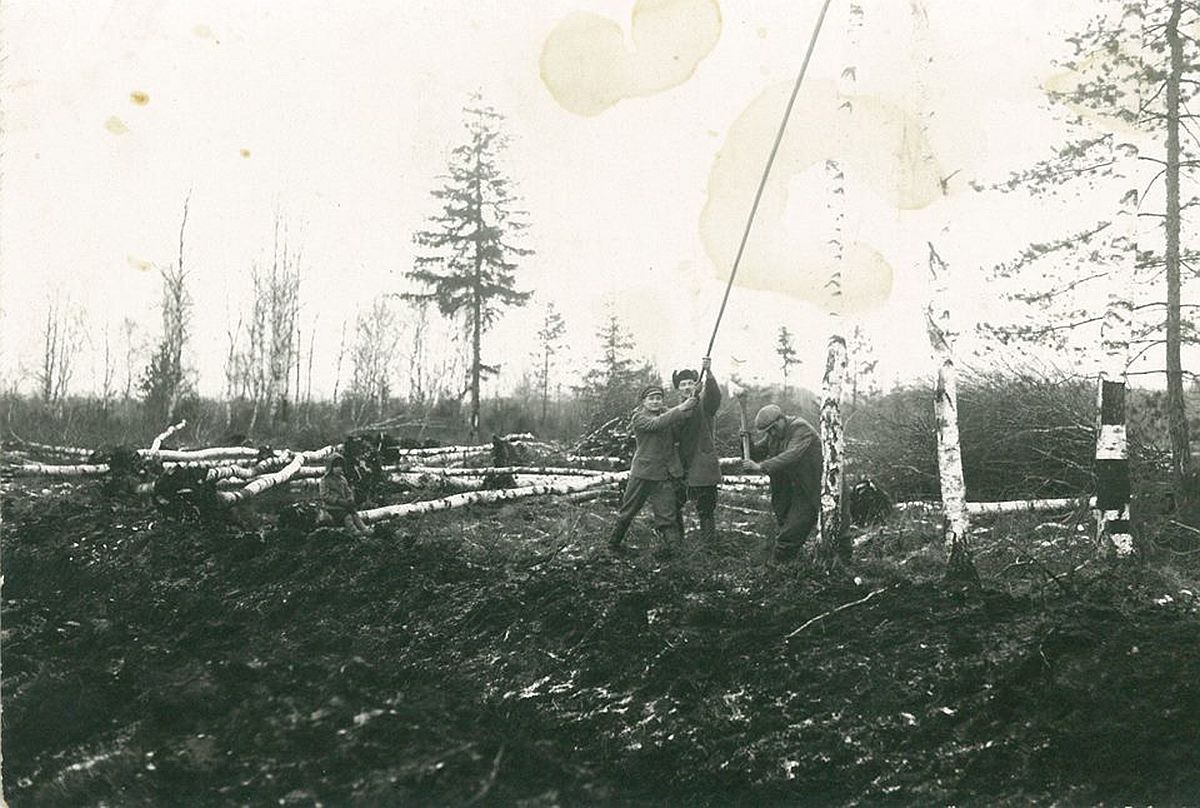 RMK pani Eesti metsa saja aasta loo raamatukaante vahele
