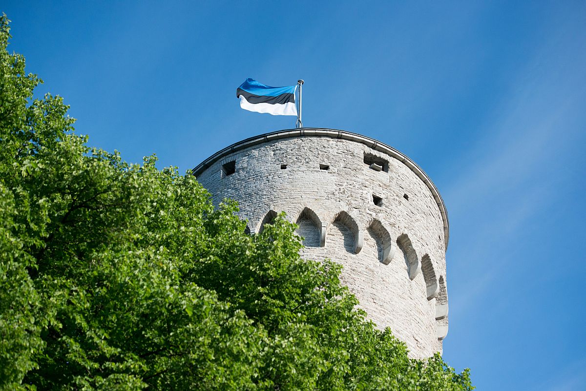 Riigikogu ja Eesti Lipu Selts kutsuvad pidulikule lipuheiskamisele