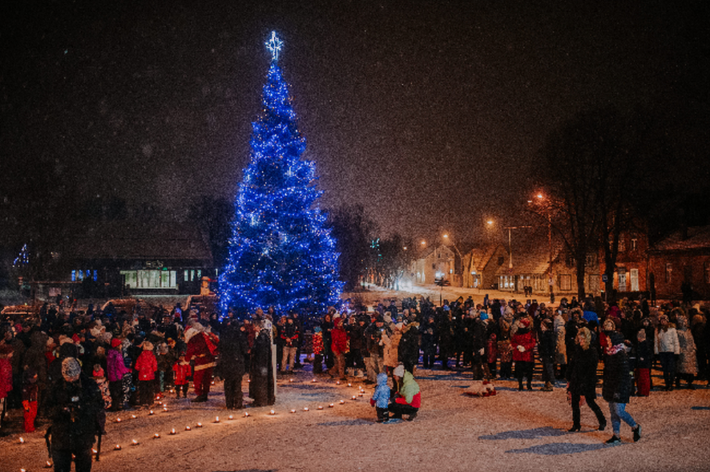 Viljandi linn otsib jõulupuud