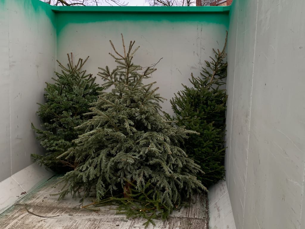 Tänasest saavad Pirita linnaosa elanikud viia vanad jõulukuused spetsiaalselt paigaldatud konteineritesse