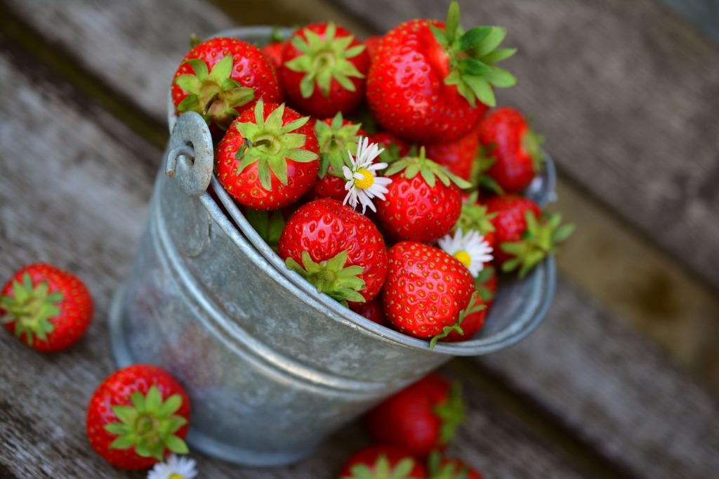 VIDEO I Enim nõutud hooajaline töökoht on maasikakorjaja ja põllutööline