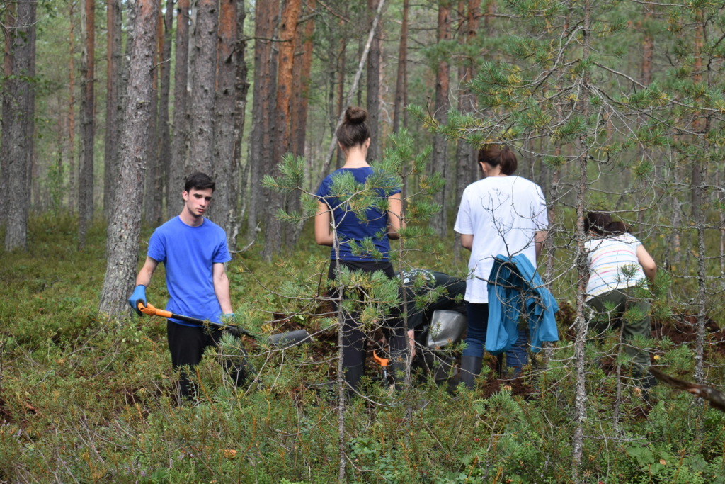 RABAPÄEV I Eestimaa Looduse Fond kutsub rabapäeva puhul soid taastama