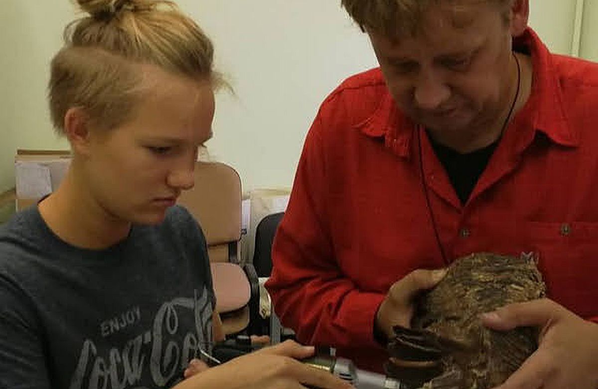 Eesti koolitüdruku teadustöö mammutitest pälvis rohkelt auhindu