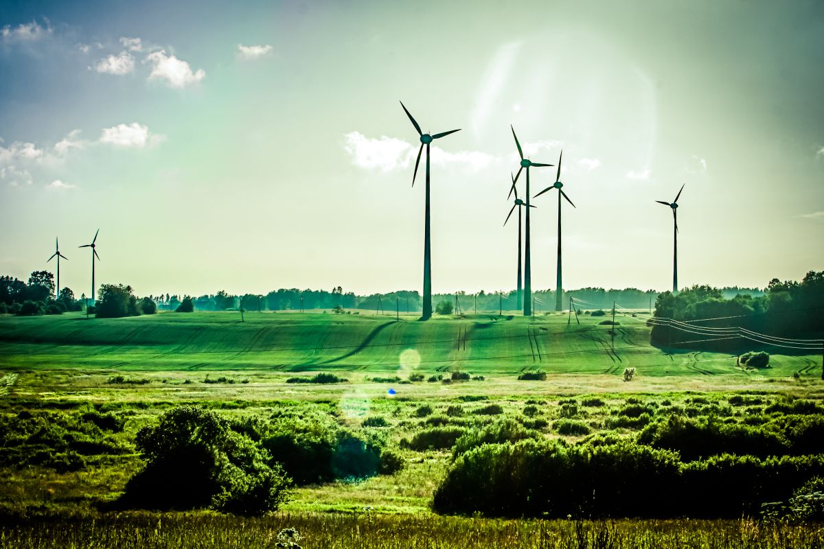 Wind,Generators,,Ecology