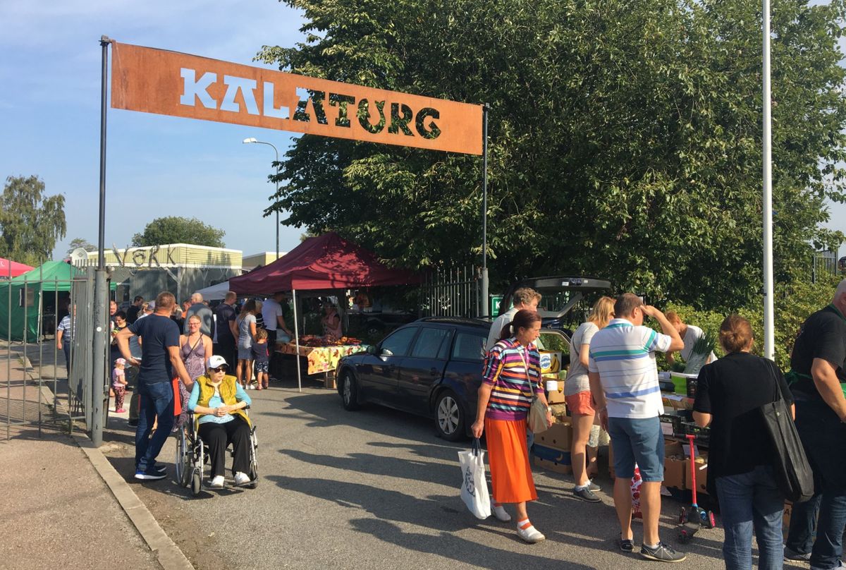 Läänemere päeval toimub Tallinnas mitmeid sündmusi