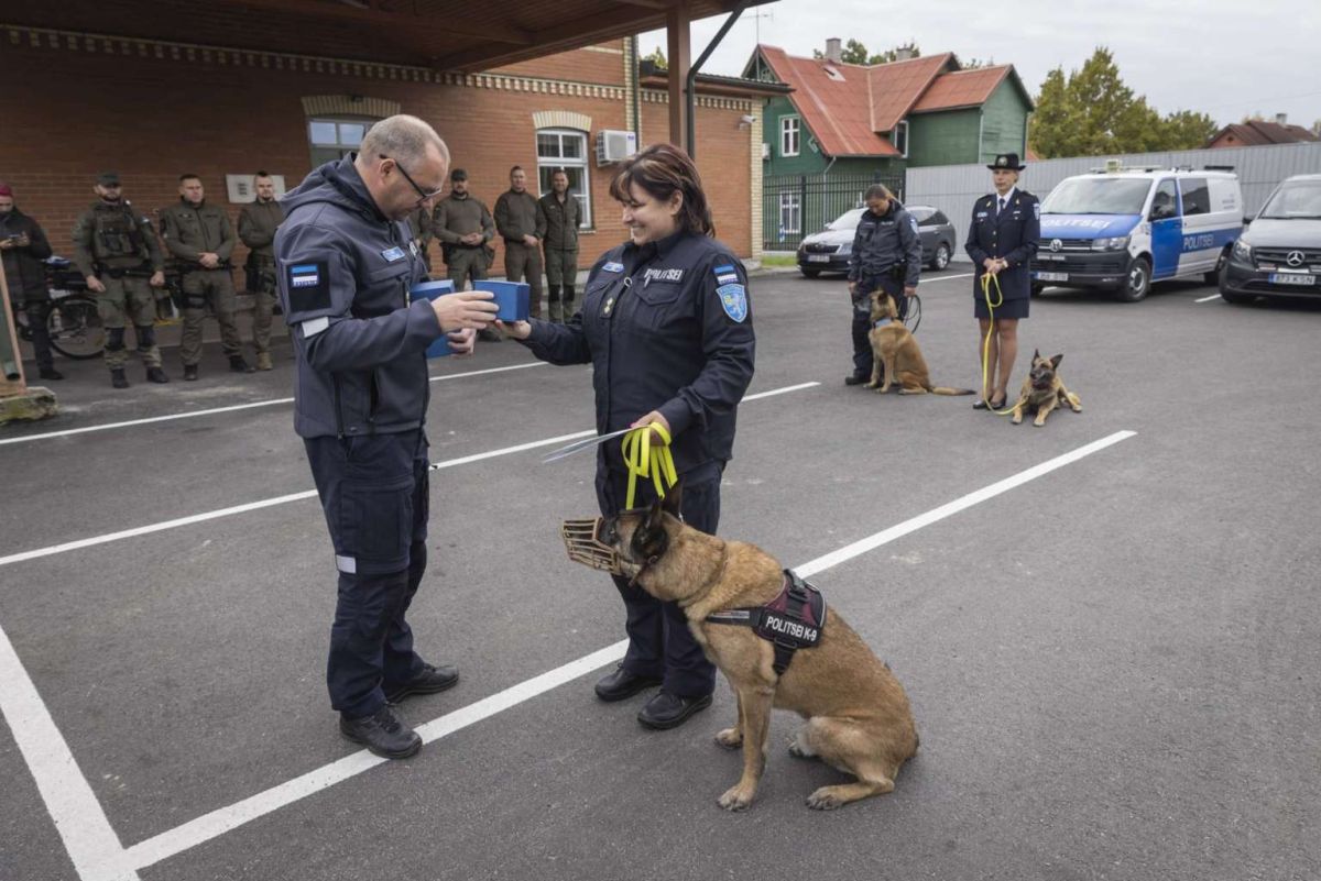 Politsei teenistuskoerad Willy, Olari ja Vahva saadeti pensionile