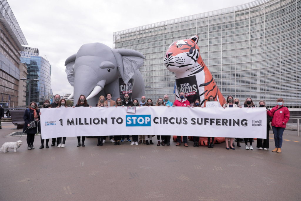 Stop Circus Suffering