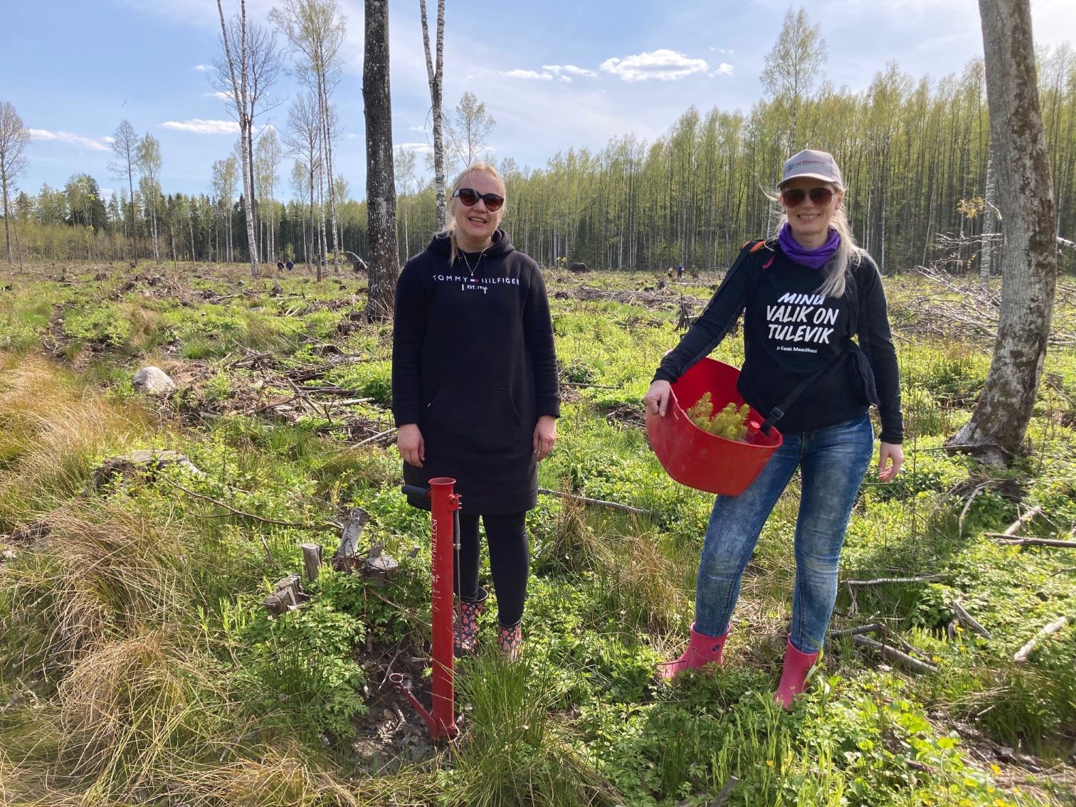 Maaülikooli töötajad istutasid Järvseljale ligi 4000 kuuske