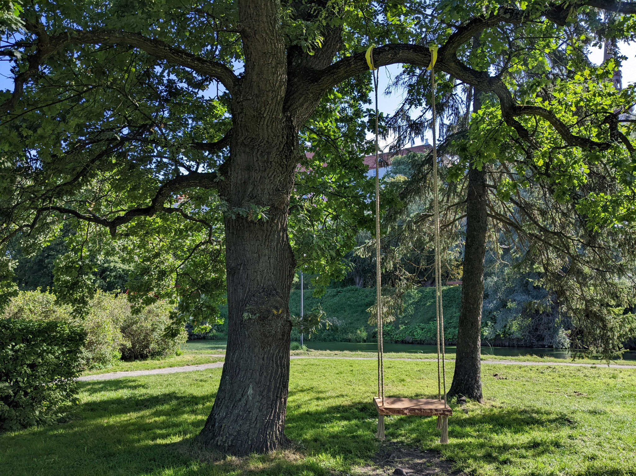 Tallinna Kesklinna Valitsus paigaldab linnaosasse kiigud