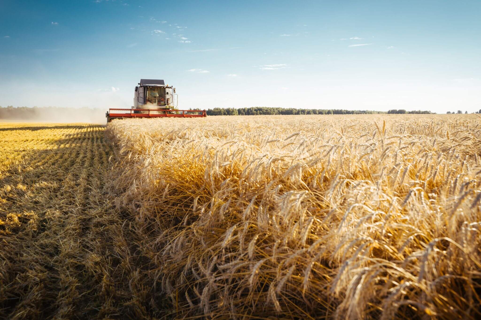 Põld, kombain (Foto Freepik)