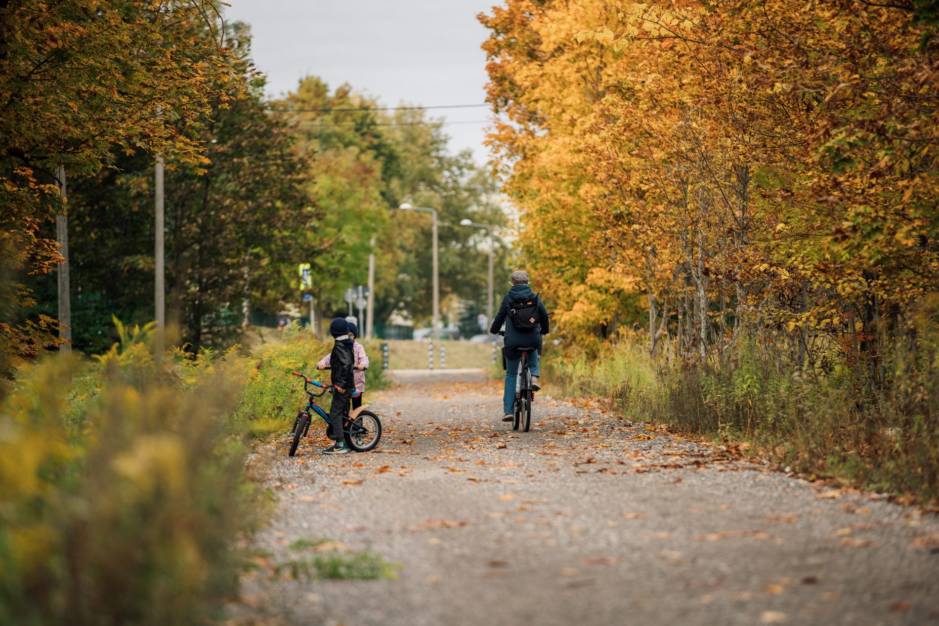 TARTU UUDISED I Sadamaraudtee rohekoridor pälvis rahvusvahelise tunnustuse