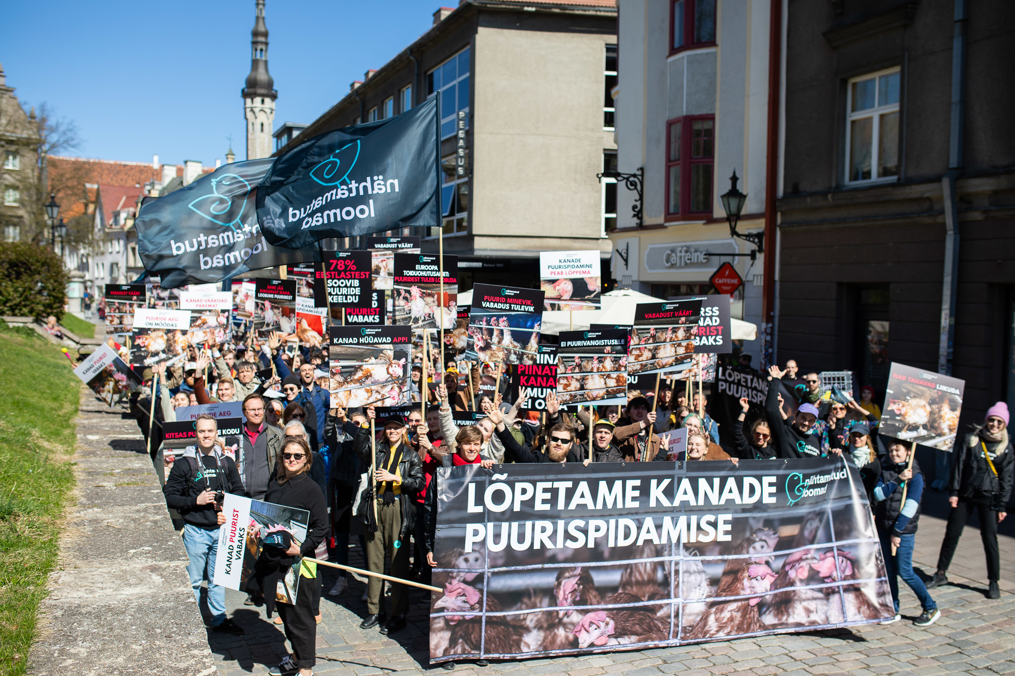 Primele fotografii Marșul „Marșul Puilor pentru Eliberarea Cuștii” a avut loc astăzi la Tallinn – Estonian Life