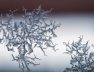 closeup-shot-snowflake-glass-from-frost