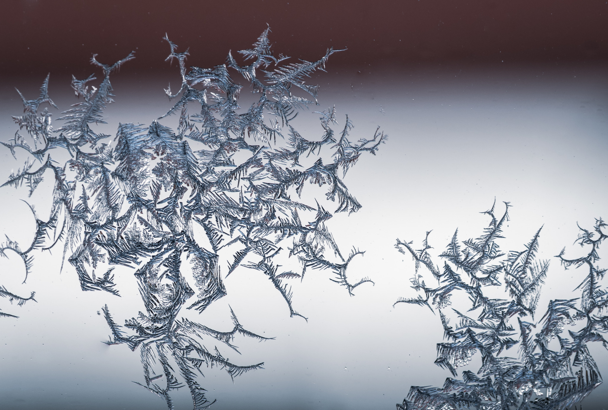 closeup-shot-snowflake-glass-from-frost