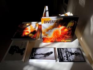 Diverse Universe-12