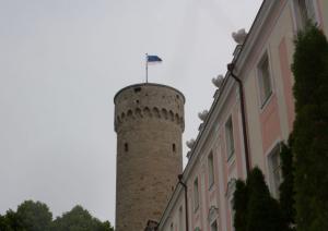 Eesti lipu päev 07